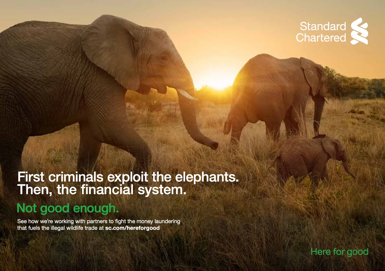 Standard Chartered #finance