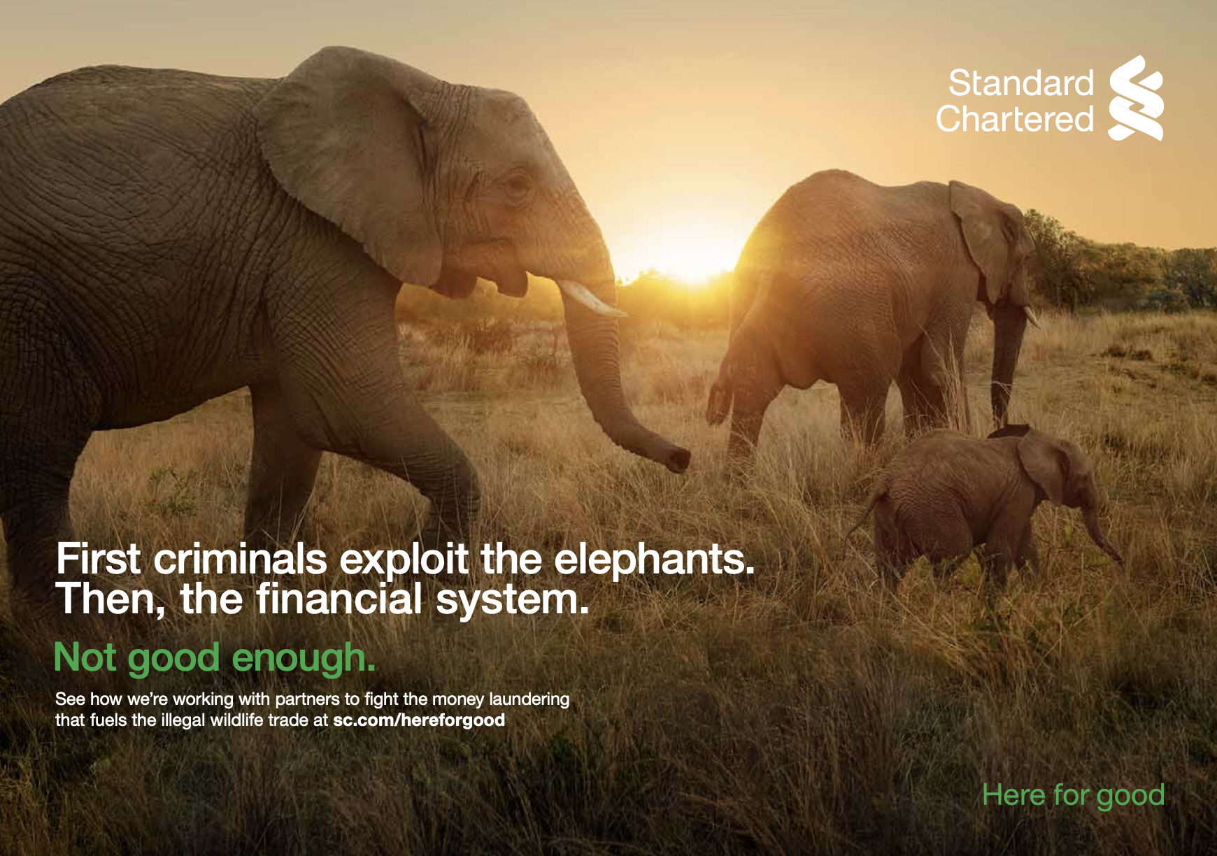 Standard Chartered #finance