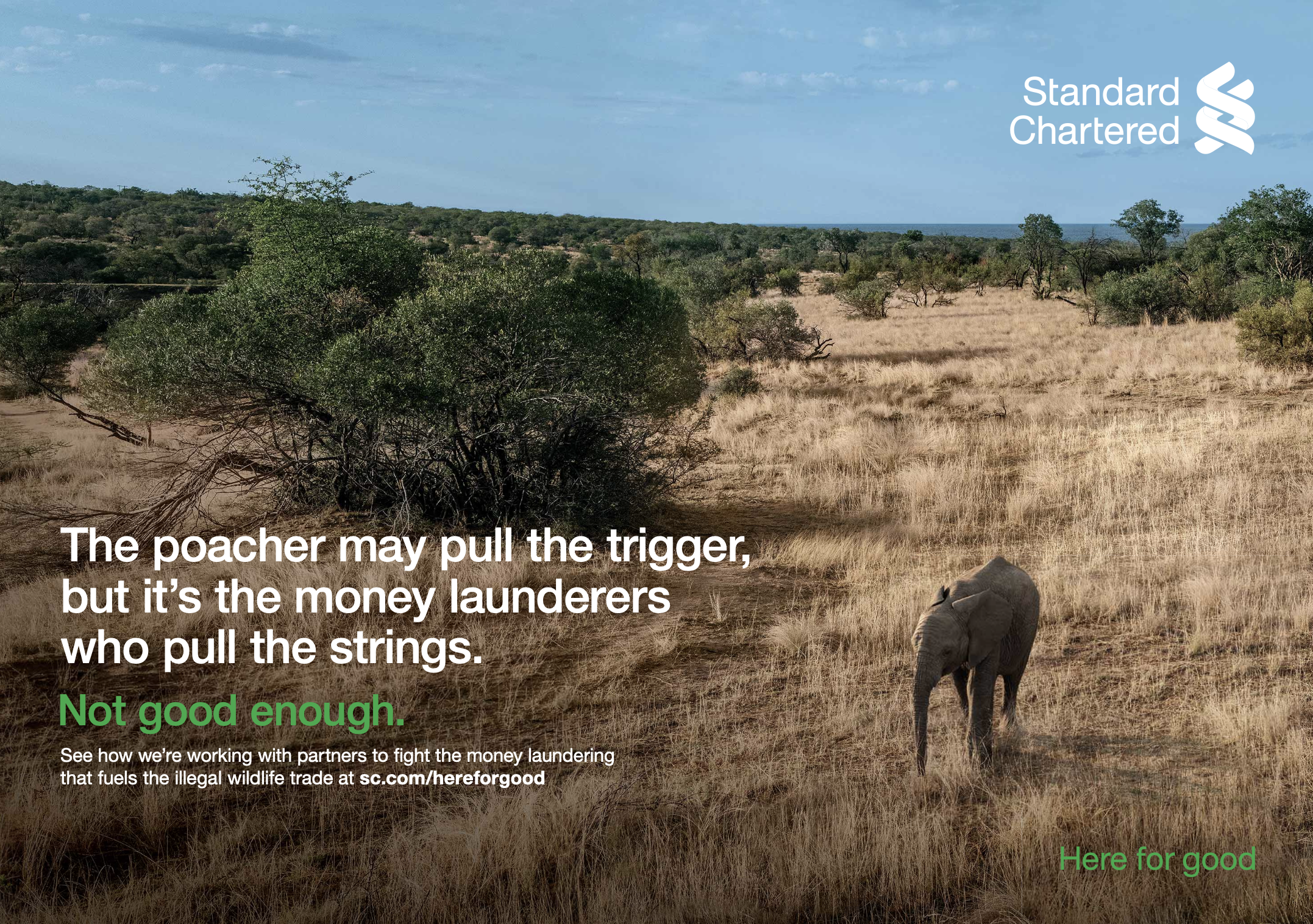 Standard Chartered #finance