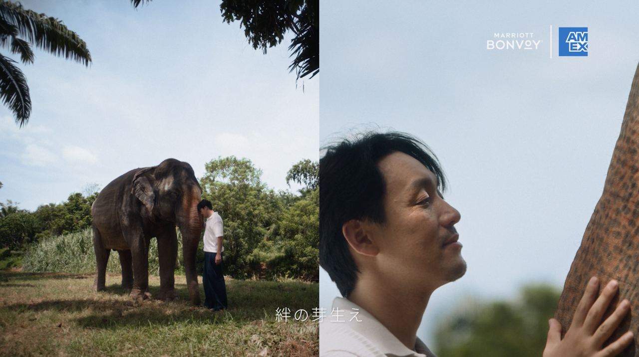 Marriott Bonvoy x AMEX #travel