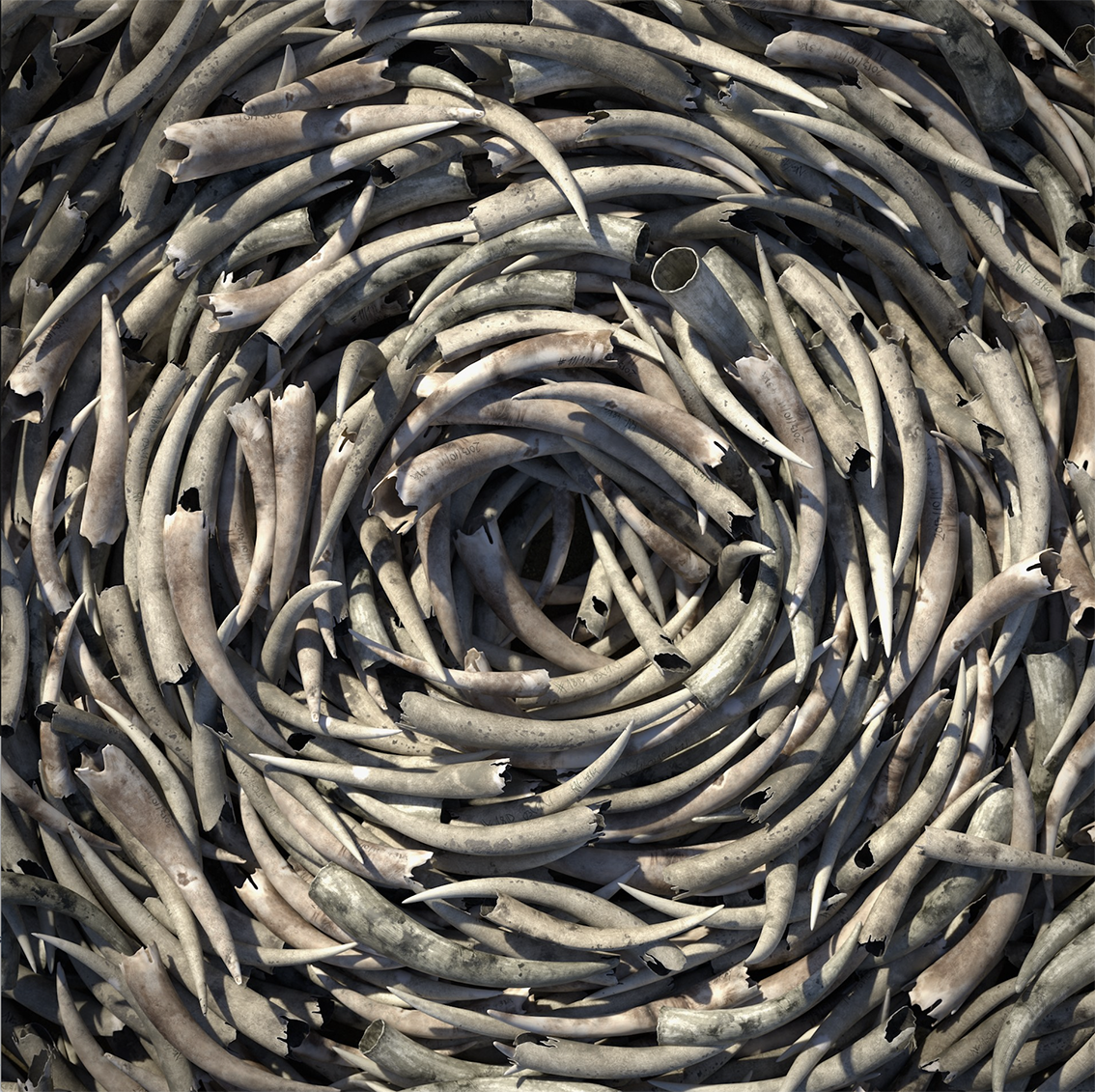 Standard Chartered #finance